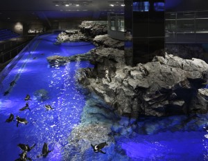 すみだ水族館