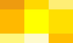ボートニャーイエローの画像